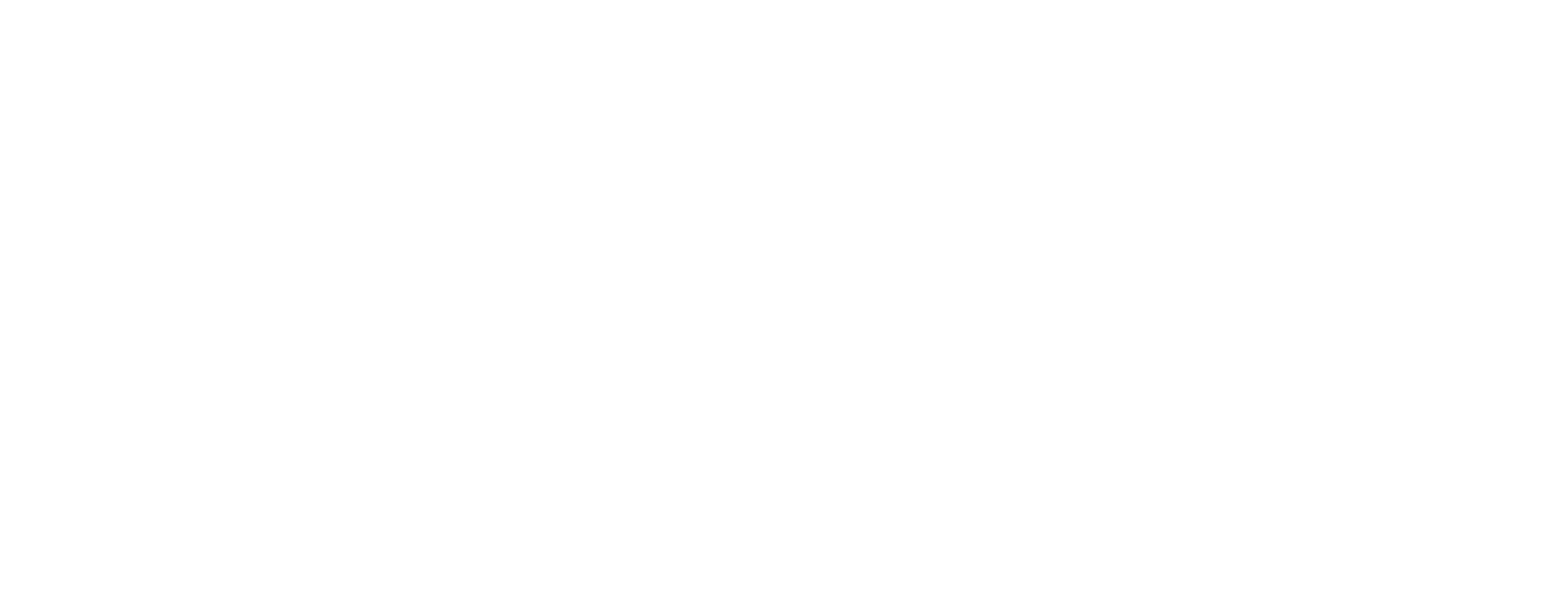 Stroylandiya logo